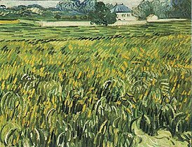 Vincent van Gogh, Wheat Field at Auvers with House, 1890