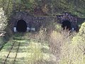 Tunnel Świerki