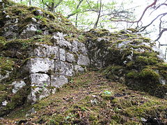 Bild 6: Kleinquadermauer im ansteigenden Gelände des Burghofes
