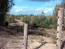A view of the Döberitzer Heide