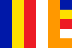 Flag flown by Vietnamese buddhist during the protests.