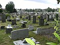 The cemetery, viewed from Hoop Lane