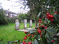 Castletroy's Jewish graveyard