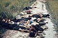 Aftermath of the Mỹ Lai Massacre showing mostly women and children dead on a road