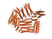 2fg8: Structure of Human Ferritin L Chain