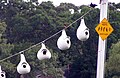 Artificial gourds provided for purple martins, US