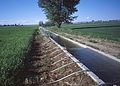 Image 16Surface irrigation system using siphon tubes
