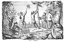 An old black and white drawing of seven men in a wooded area, catching insects in various ways