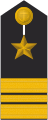 Schulterklappe Dienstanzug Marineuniformträger (Truppendienst oder militärfachlicher Dienst)
