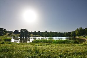A boating pond surrounded by grass and trees