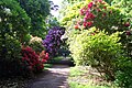 The Rhododendron gardens.
