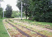 Gleis mit Bo­den­dec­kern, Zwi­ckau