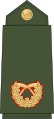 Brigadier general (Nepali: सहायक रथी, romanized: Sahaayak rathee) (Nepalese Army)[37]