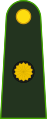 Mayor (Argentine Army)[7]