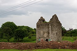 15th or 16th century tower house, known locally as Wallingstown Castle