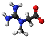 Ball and stick model of creatine