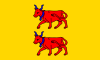 Flag of Béarn Biarn Bearn