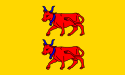 Flag of Viscounty of Béarn