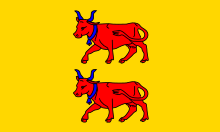 Flag of Béarn