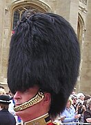 Bearskin ("busby" is incorrect)