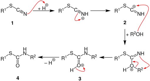 Riemschneider Reaktion Mechanismus V3
