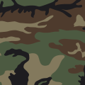 'Woodland' is the name of the default camouflage pattern issued to the Ecuadorian soldiers.