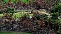 Image 38Aerial view of a burned Rohingya village in Rakhine state, Myanmar, September 2017 (from History of Myanmar)