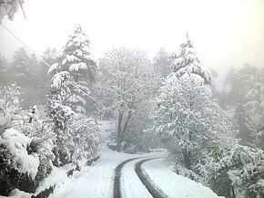 Dhanaulti snow fall.jpg