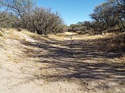 Dried up San Pedro River – 2020