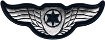 Current badge "wings" of an Israeli Air Force pilot, weapon systems officer, navigator and flight engineer