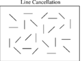 Line cancellation neglect test