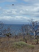 North Seymour Island in the Galápagos