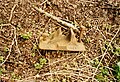An OIR track to sleeper pin in Drayton. The words stamped on it say it was made by the Great Western Railway in 1928. It was found in 2002.