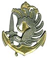 Beret insignia of the Marine Parachute Units