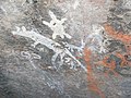 Felsmalerei im Namadgi National Park, das ein Kängurus, Dingos, Emus, Menschen und einen Echidna oder eine Schildkröte darstellt