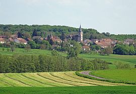 A general view of Châtenois