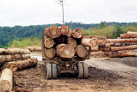 Transportation of logs