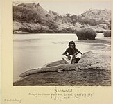 Unknown person sitting next to a killed crocodile, 1881
