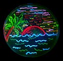Beach scene with live bacteria in a Petri dish expressing different fluorescent proteins. Microbial art by Nathan Shaner, 2006