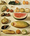 Hermenegildo Bustos, Still life with fruit, 1874