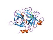 1vja: Urokinase Plasminogen Activator B-Chain-JT464 Complex
