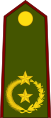 General de brigada (Paraguayan Army)[41]