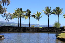 View looking across Hilo Bay towards the Hamakua Coast