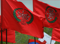 Parteiflaggen mit Logo