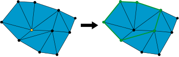 A vertex and its link.