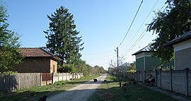 Dogaru Street, Bujoru