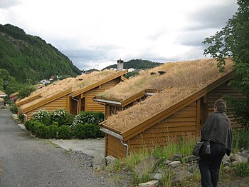 An ecovillage in Torvetua, Norway.