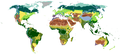 Terrestrial biomes classified by vegetation.