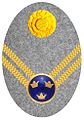 Hat badge (Mössmärke m/1914) for a lieutenant in the army on fur hat (pälsmössa m/1909-14)