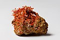Image 38Crocoite, by JJ Harrison (from Wikipedia:Featured pictures/Sciences/Geology)